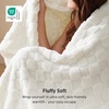 Bedsure GentleSoft Sage Green Throw Blanket for Couch – Checkered Cute Fleece Blankets, Soft Cozy Summer Throw for Bedroom Home Decor Gifts for Mom Girls, Green, 50×60 Inches(White)