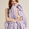 Bedsure GentleSoft Sage Green Throw Blanket for Couch – Checkered Cute Fleece Blankets, Soft Cozy Summer Throw for Bedroom Home Decor Gifts for Mom Girls, Green, 50×60 Inches(04 Lavender Fog)