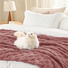 Bedsure GentleSoft Sage Green Throw Blanket for Couch – Checkered Cute Fleece Blankets, Soft Cozy Summer Throw for Bedroom Home Decor Gifts for Mom Girls, Green, 50×60 Inches(Dusty Pink)