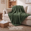 Bedsure GentleSoft Sage Green Throw Blanket for Couch – Checkered Cute Fleece Blankets, Soft Cozy Summer Throw for Bedroom Home Decor Gifts for Mom Girls, Green, 50×60 Inches(Bronze Green)