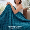 Bedsure GentleSoft Sage Green Throw Blanket for Couch – Checkered Cute Fleece Blankets, Soft Cozy Summer Throw for Bedroom Home Decor Gifts for Mom Girls, Green, 50×60 Inches(Teal)
