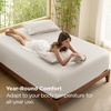 Bedsure PureWoven Queen Fitted Sheet Qnly, 100% Rayon Derived from Bamboo | Cooling Bottom Sheet for Hot Sleepers, Breathable & Soft, Deep Pocket Up to 18″, Secure Elastic Corner Straps, Grey(Beige)