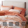 Bedsure Queen Comforter Set 7 Pieces, Grey Striped Bedding Set for All Seasons, Reversible, Cationic Dyeing Bed in a Bag with Comforter, Sheets, Pillowcases & Shams(12 – Burnt Orange)