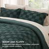 Bedsure Queen Size Comforter Set Beige, Boho Tufted Bed Set, Checkered Farmhouse-Style Distressed Vintage Bedding, 3 Pieces, 1 Plaid Geometric Comforter and 2 Pillow Shams(02 – Emerald – Tufted Checkboard)