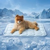 Bedsure ArcticMax™ Cooling Mat for Large Dogs,Q-Max>0.5 Chill Fiber,41In | Thin Summer Cool-to-touch Fabric to Rapid Cooling,Breathable Cold Crate Pad for Pet Indoor,Washable No Gel as Topper,Blue(Baby Blue)