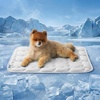 Bedsure ArcticMax™ Cooling Mat for Large Dogs,Q-Max>0.5 Chill Fiber,41In | Thin Summer Cool-to-touch Fabric to Rapid Cooling,Breathable Cold Crate Pad for Pet Indoor,Washable No Gel as Topper,Blue(Pearl Grey)
