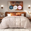 Bedsure Comforter Duvet Insert – Quilted Comforters Queen Size, All Season Duvet, GentleSoft Down Alternative Bedding Blanket, with 8 Tabs, Gifts for Women/Men, White, Queen 88 x 88 Inches(Beige)