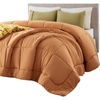 Bedsure Comforter Duvet Insert – Quilted Comforters Queen Size, All Season Duvet, GentleSoft Down Alternative Bedding Blanket, with 8 Tabs, Gifts for Women/Men, White, Queen 88 x 88 Inches(Burnt Orange)