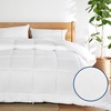 Bedsure Comforter Duvet Insert – Quilted Comforters Queen Size, All Season Duvet, GentleSoft Down Alternative Bedding Blanket, with 8 Tabs, Gifts for Women/Men, White, Queen 88 x 88 Inches(Basket Wave White)