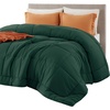 Bedsure Comforter Duvet Insert – Quilted Comforters Queen Size, All Season Duvet, GentleSoft Down Alternative Bedding Blanket, with 8 Tabs, Gifts for Women/Men, White, Queen 88 x 88 Inches(Green)