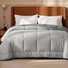 Bedsure Comforters Queen Size Duvet Insert, Quilted Down Alternative Comforter, Ultra Soft Lightweight Comforter Blanket for Bed, with 8 Tabs, Machine Washable, 88×88 in, White(Light Grey/Grey)