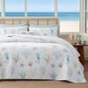 00 - Ocean White