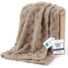 03 Light Brown