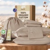 04 - Light Brown