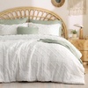 01 - Natural White