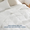 Bedsure Queen Comforter – Comforters Queen Size for All Season, Ultra-Soft Down Alternative & Prewashed Duvet Insert with 4 Tabs – Machine Washable, White, 88×88 Inches(White)