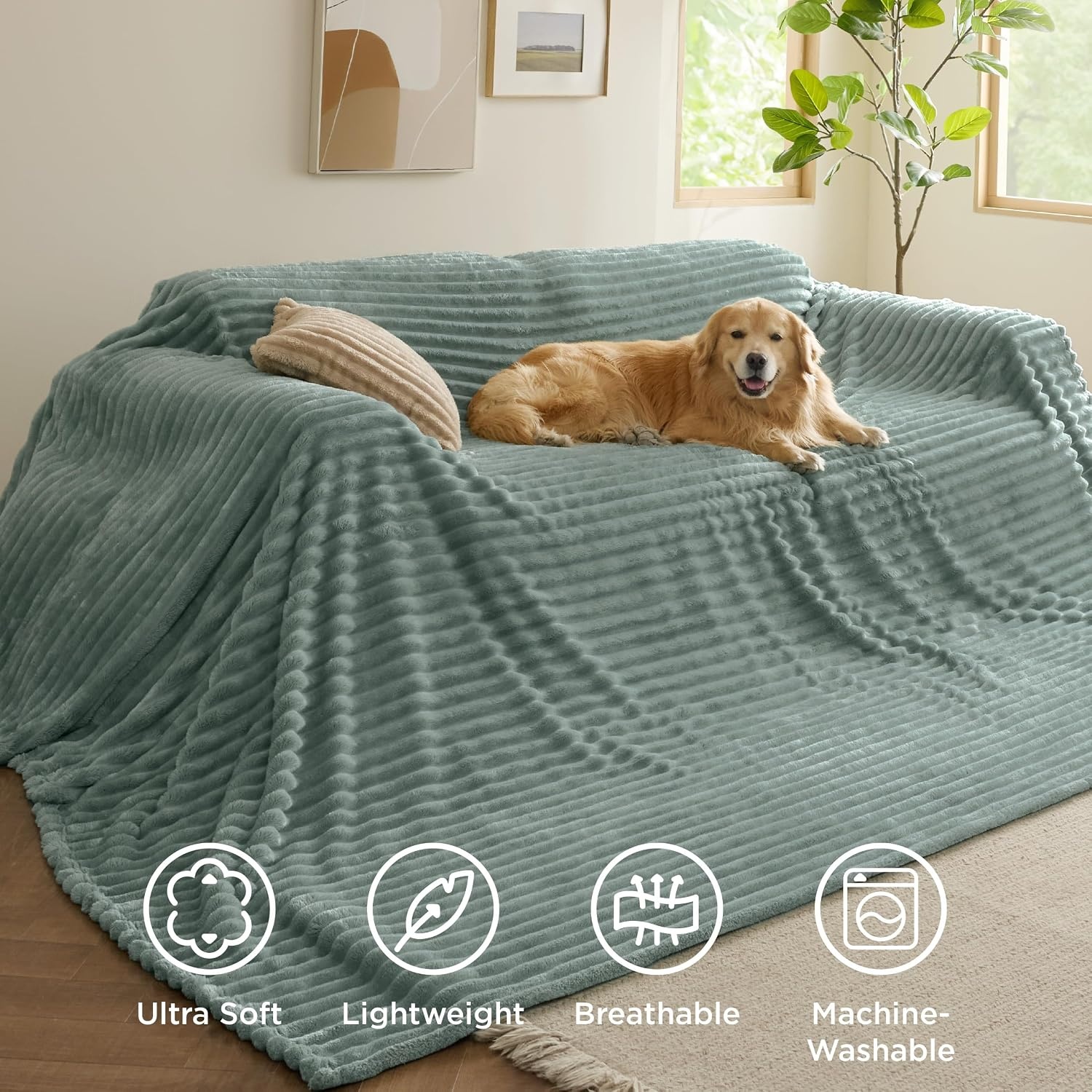 image:imageBedsure Soft Cozy Twin XL Blanket for Bed College Dorm Off White 66x90 Birthday Gifts for Women Mom Her Warm Lightweight Cozy Fluffy Throw Blanket Sofa Dorm Room Home Decor Machine WashableSage Green