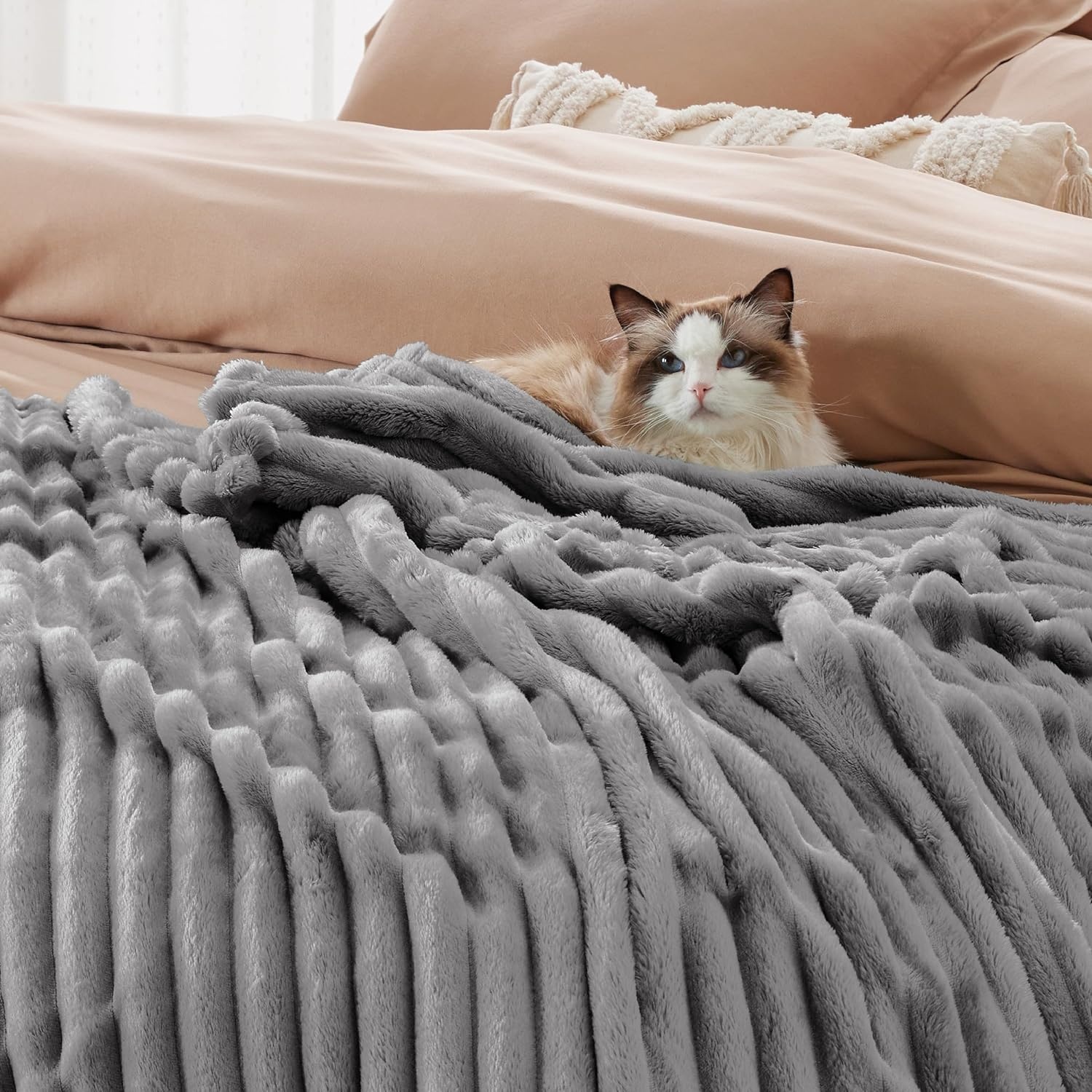 image:imageBedsure Soft Cozy Twin XL Blanket for Bed College Dorm Off White 66x90 Birthday Gifts for Women Mom Her Warm Lightweight Cozy Fluffy Throw Blanket Sofa Dorm Room Home Decor Machine WashableFrost Gray