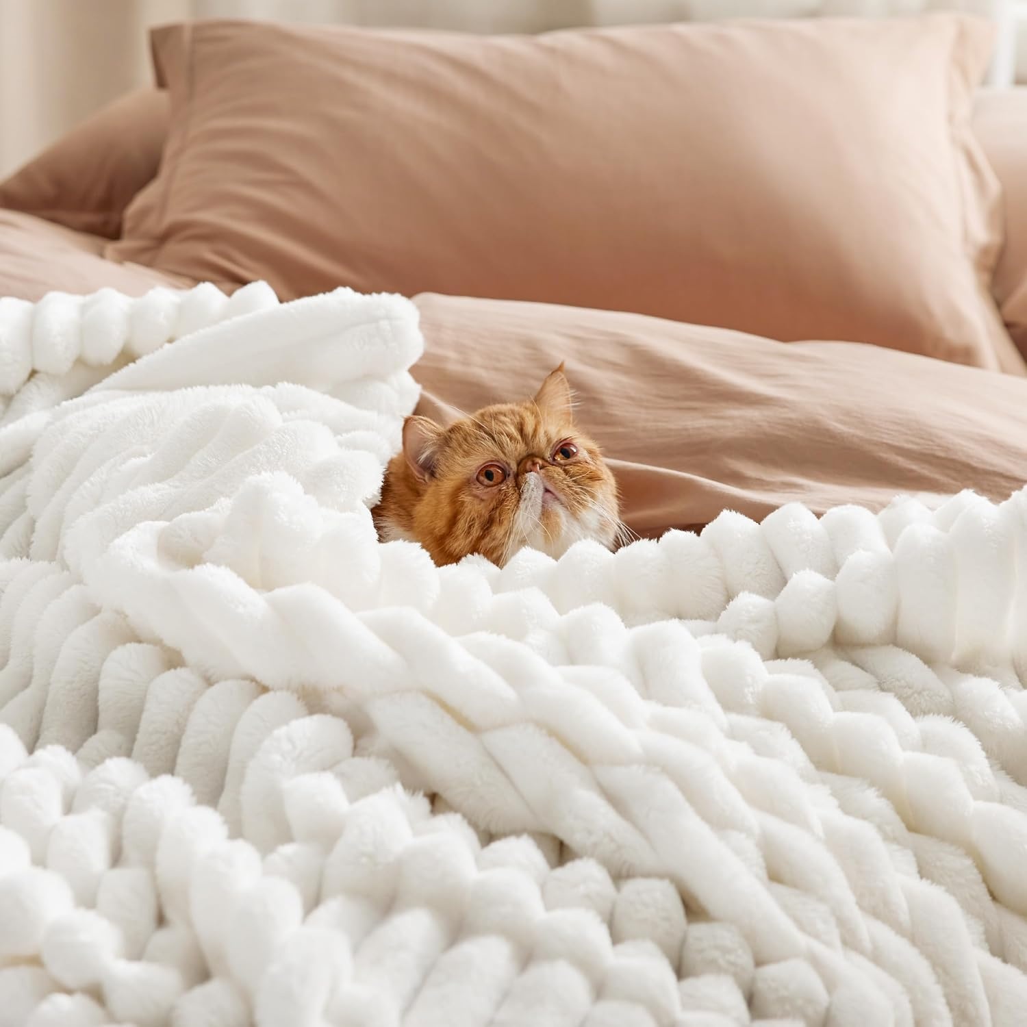 image:imageBedsure Soft Cozy Twin XL Blanket for Bed College Dorm Off White 66x90 Birthday Gifts for Women Mom Her Warm Lightweight Cozy Fluffy Throw Blanket Sofa Dorm Room Home Decor Machine WashableOff White