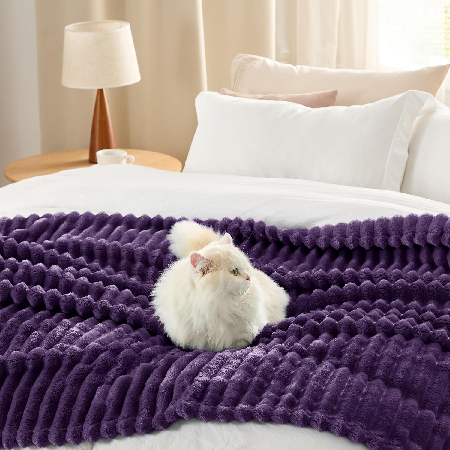 image:imageBedsure Soft Cozy Twin XL Blanket for Bed College Dorm Off White 66x90 Birthday Gifts for Women Mom Her Warm Lightweight Cozy Fluffy Throw Blanket Sofa Dorm Room Home Decor Machine WashablePurple