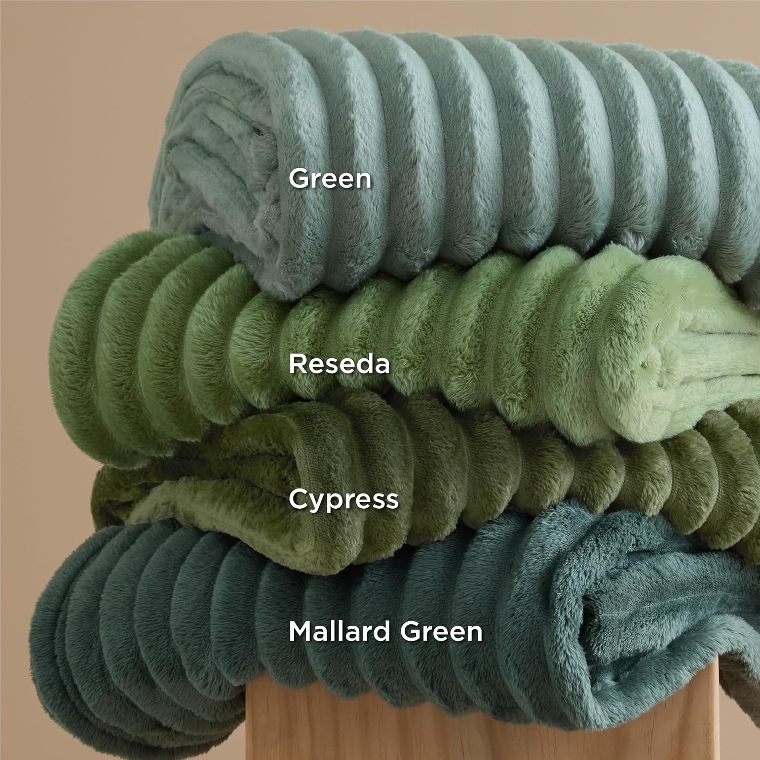 image:imageBedsure Soft Cozy Twin XL Blanket for Bed College Dorm Off White 66x90 Birthday Gifts for Women Mom Her Warm Lightweight Cozy Fluffy Throw Blanket Sofa Dorm Room Home Decor Machine WashableSage Green