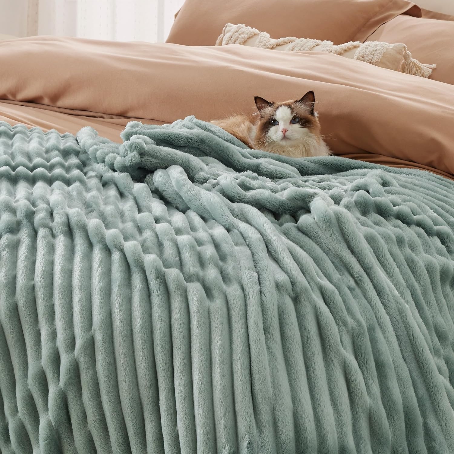 image:imageBedsure Soft Cozy Twin XL Blanket for Bed College Dorm Off White 66x90 Birthday Gifts for Women Mom Her Warm Lightweight Cozy Fluffy Throw Blanket Sofa Dorm Room Home Decor Machine WashableSage Green