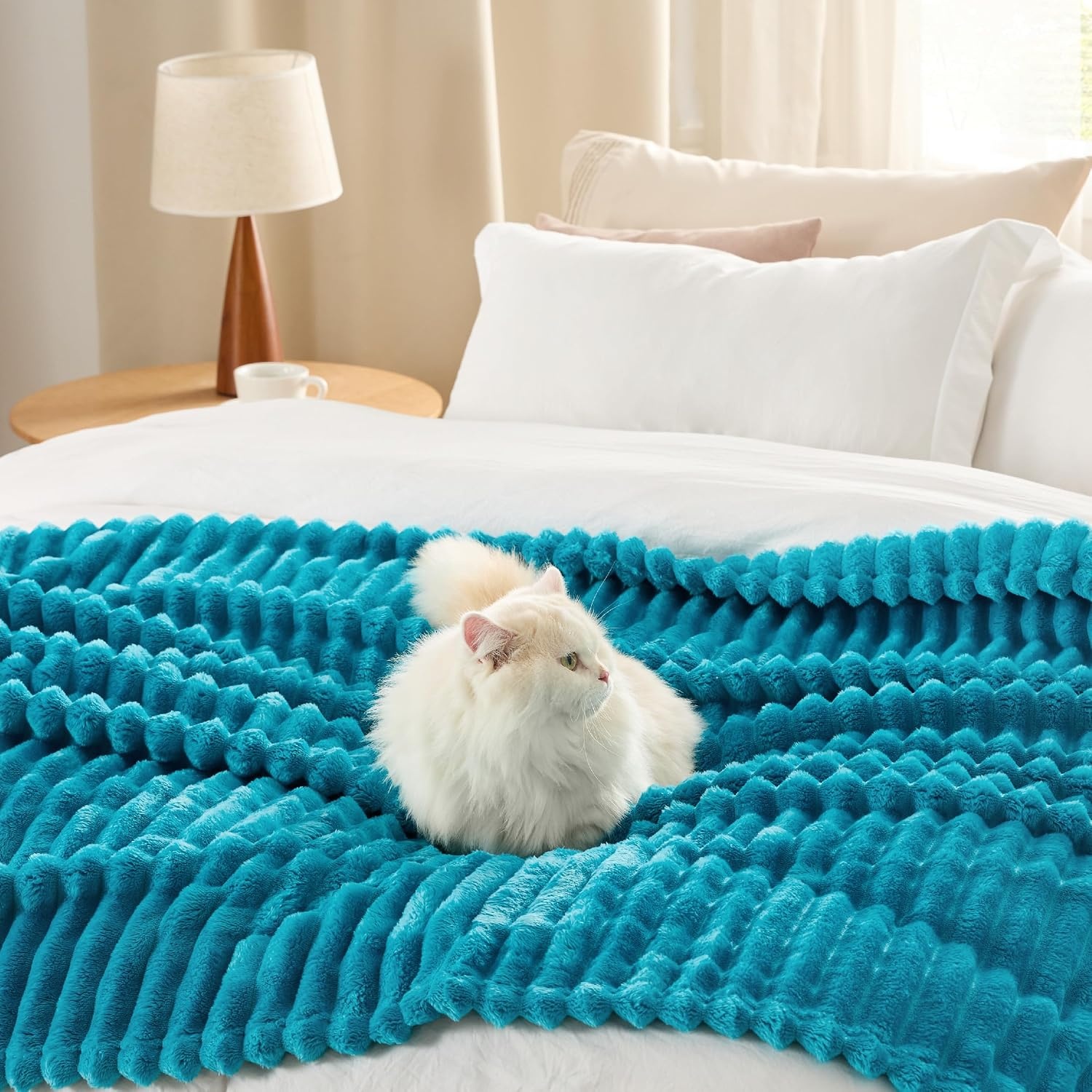 image:imageBedsure Soft Cozy Twin XL Blanket for Bed College Dorm Off White 66x90 Birthday Gifts for Women Mom Her Warm Lightweight Cozy Fluffy Throw Blanket Sofa Dorm Room Home Decor Machine WashableTeal