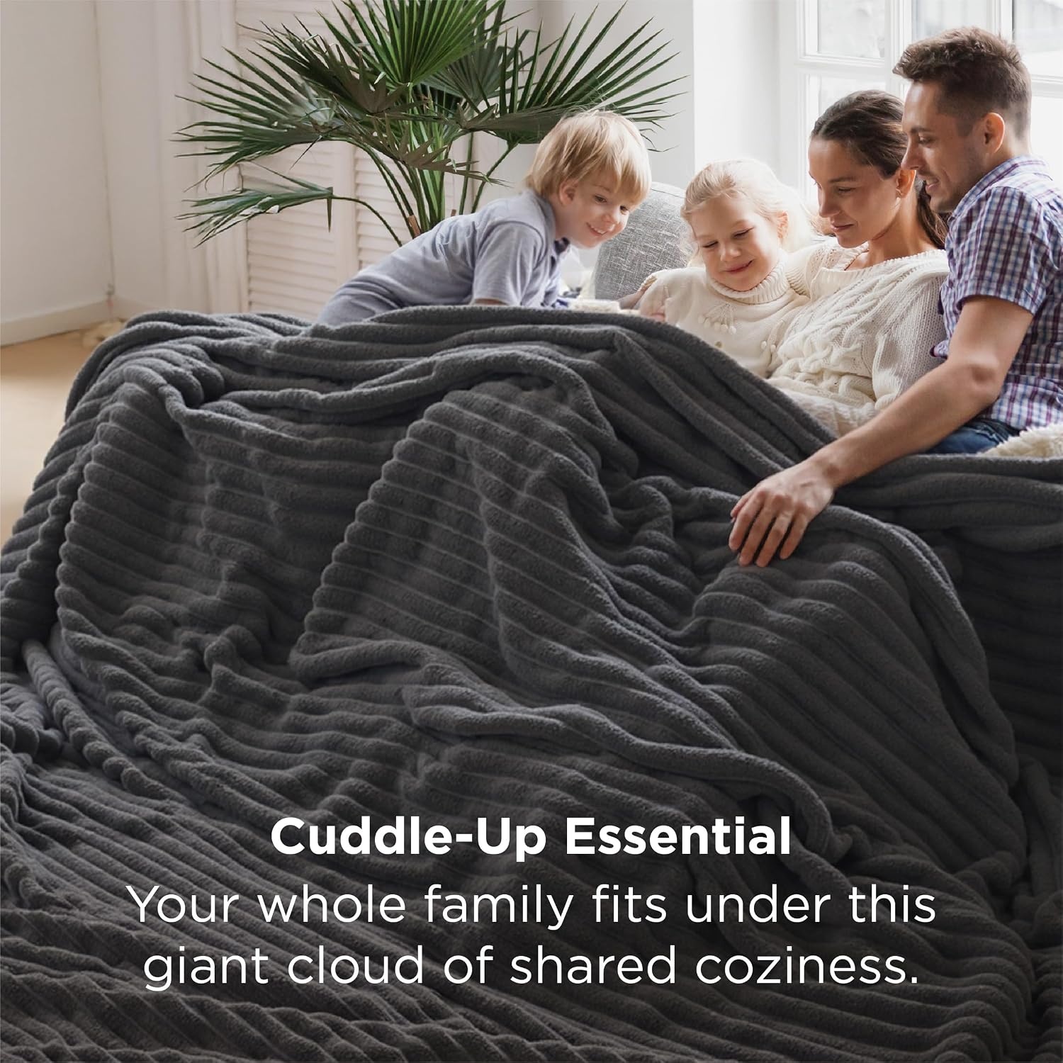 image:imageBedsure Soft Cozy Twin XL Blanket for Bed College Dorm Off White 66x90 Birthday Gifts for Women Mom Her Warm Lightweight Cozy Fluffy Throw Blanket Sofa Dorm Room Home Decor Machine WashableGrey