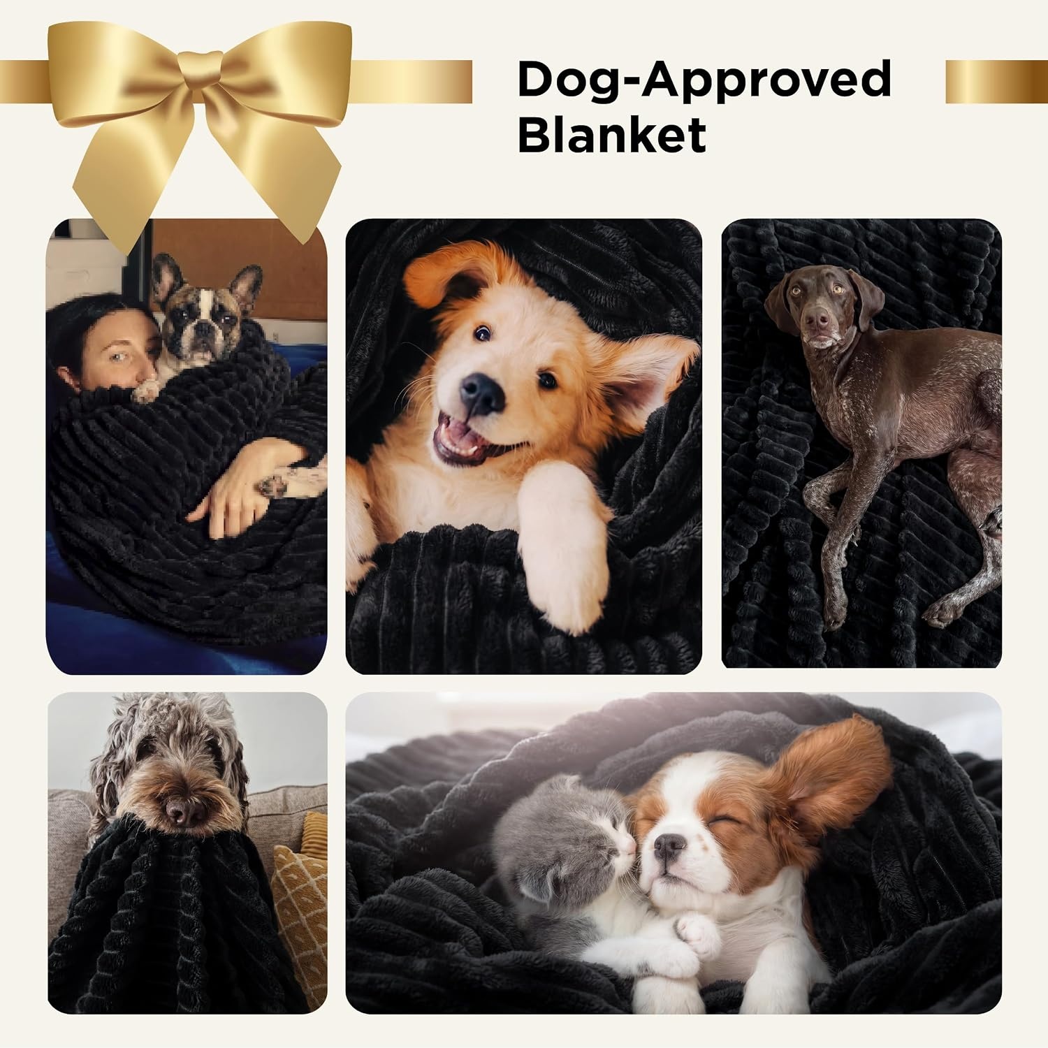 image:imageBedsure Soft Cozy Twin XL Blanket for Bed College Dorm Off White 66x90 Birthday Gifts for Women Mom Her Warm Lightweight Cozy Fluffy Throw Blanket Sofa Dorm Room Home Decor Machine WashableBlack