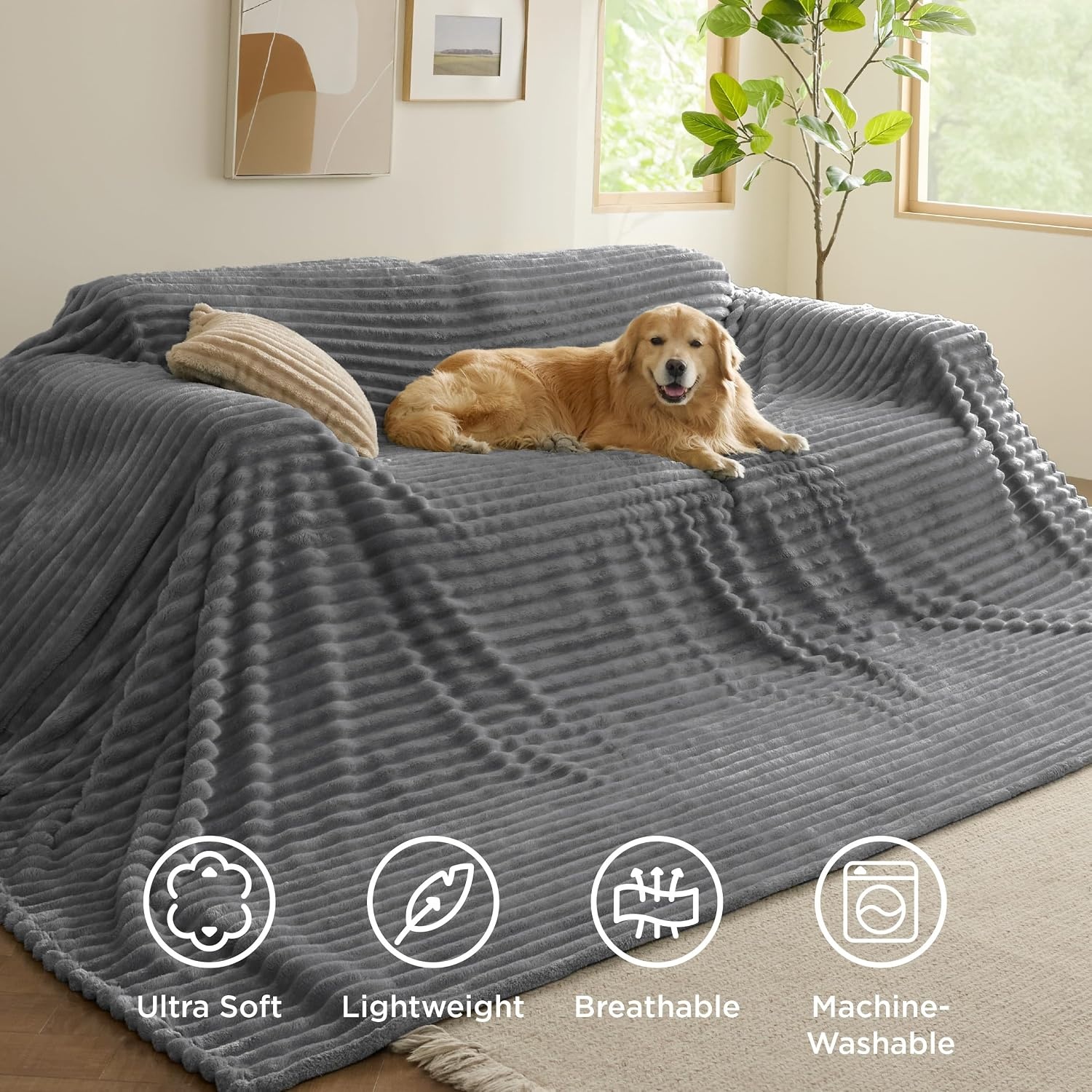 image:imageBedsure Soft Cozy Twin XL Blanket for Bed College Dorm Off White 66x90 Birthday Gifts for Women Mom Her Warm Lightweight Cozy Fluffy Throw Blanket Sofa Dorm Room Home Decor Machine WashableFrost Gray