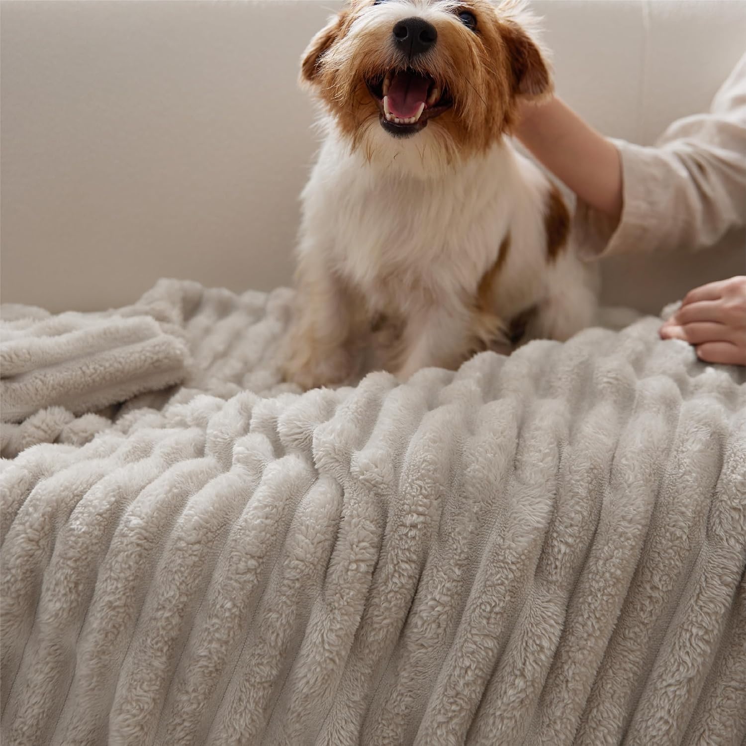 image:imageBedsure Soft Cozy Twin XL Blanket for Bed College Dorm Off White 66x90 Birthday Gifts for Women Mom Her Warm Lightweight Cozy Fluffy Throw Blanket Sofa Dorm Room Home Decor Machine WashableBeige