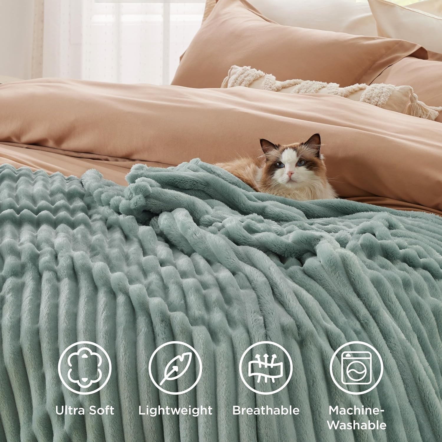 image:imageBedsure Soft Cozy Twin XL Blanket for Bed College Dorm Off White 66x90 Birthday Gifts for Women Mom Her Warm Lightweight Cozy Fluffy Throw Blanket Sofa Dorm Room Home Decor Machine WashableSage Green