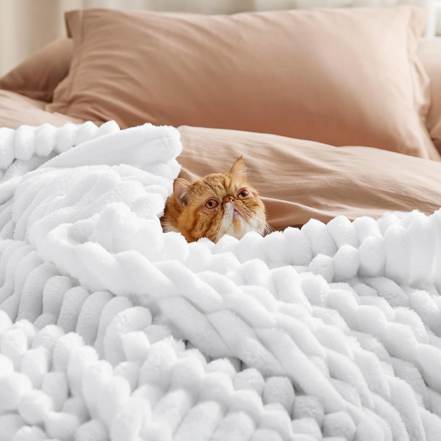 image:imageBedsure Soft Cozy Twin XL Blanket for Bed College Dorm Off White 66x90 Birthday Gifts for Women Mom Her Warm Lightweight Cozy Fluffy Throw Blanket Sofa Dorm Room Home Decor Machine WashableBright White