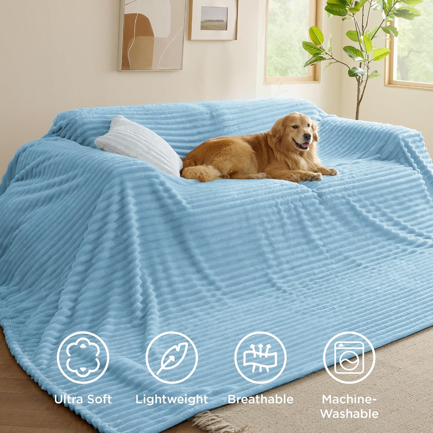 image:imageBedsure Soft Cozy Twin XL Blanket for Bed College Dorm Off White 66x90 Birthday Gifts for Women Mom Her Warm Lightweight Cozy Fluffy Throw Blanket Sofa Dorm Room Home Decor Machine WashableLight Blue