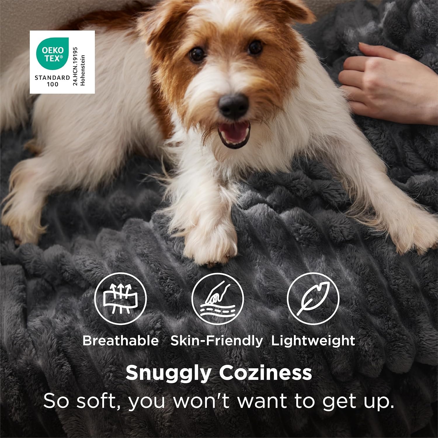 image:imageBedsure Soft Cozy Twin XL Blanket for Bed College Dorm Off White 66x90 Birthday Gifts for Women Mom Her Warm Lightweight Cozy Fluffy Throw Blanket Sofa Dorm Room Home Decor Machine WashableGrey