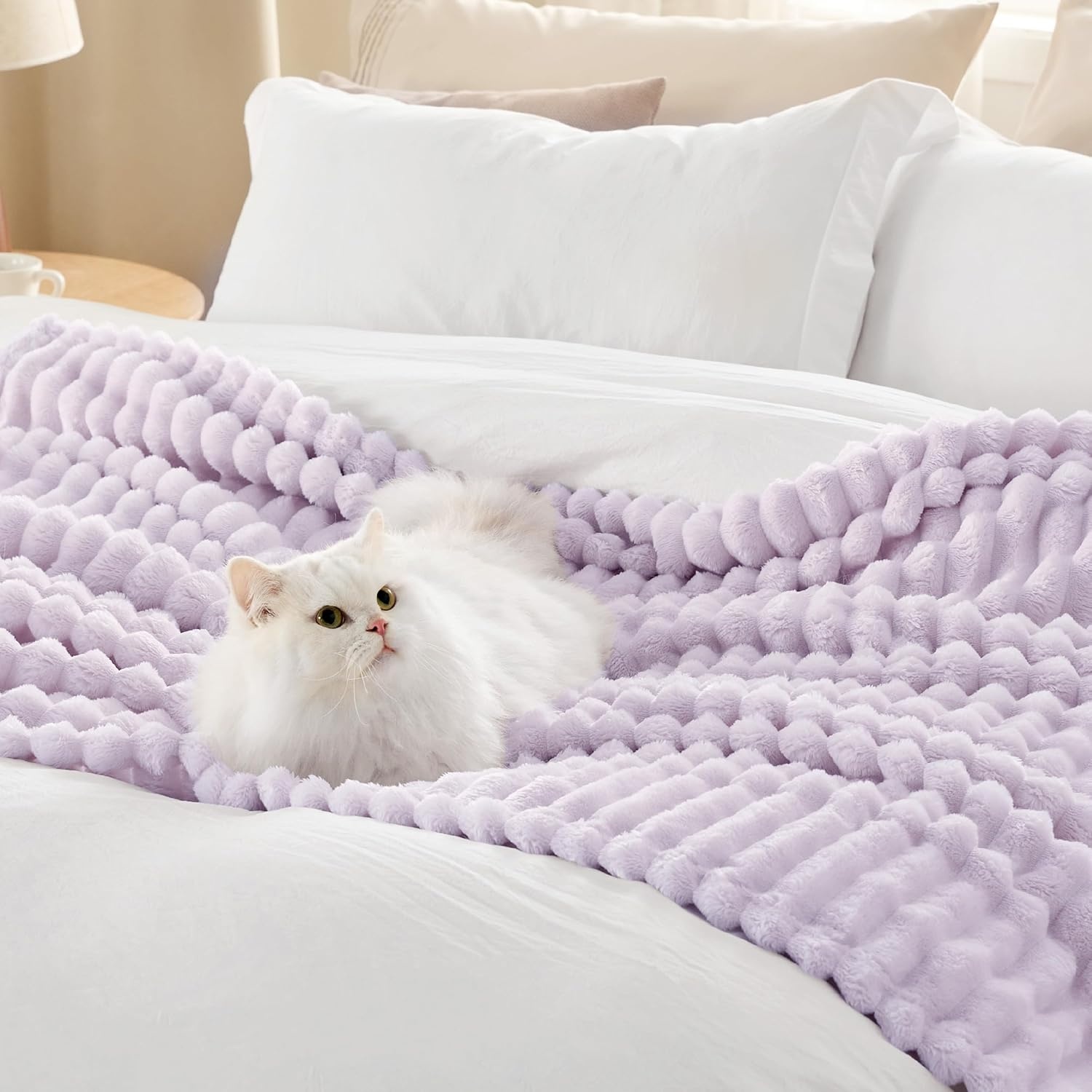 image:imageBedsure Soft Cozy Twin XL Blanket for Bed College Dorm Off White 66x90 Birthday Gifts for Women Mom Her Warm Lightweight Cozy Fluffy Throw Blanket Sofa Dorm Room Home Decor Machine WashableLavender Fog