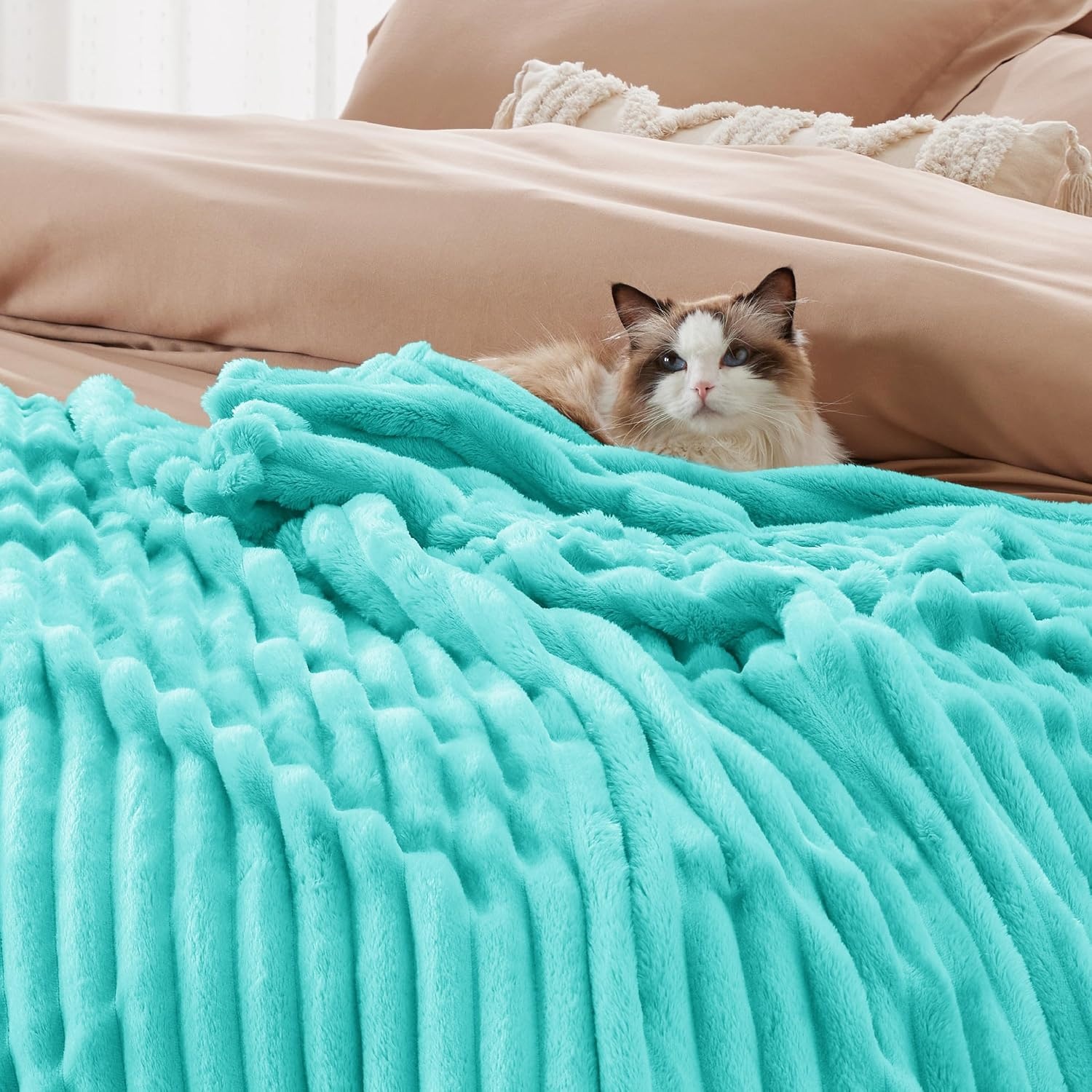 image:imageBedsure Soft Cozy Twin XL Blanket for Bed College Dorm Off White 66x90 Birthday Gifts for Women Mom Her Warm Lightweight Cozy Fluffy Throw Blanket Sofa Dorm Room Home Decor Machine WashableBlue Fog