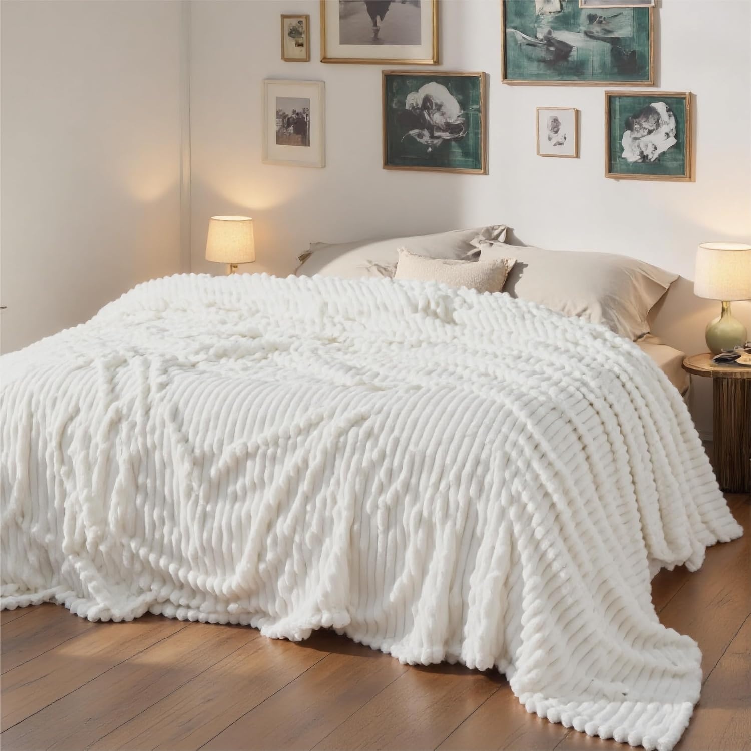 image:imageBedsure Soft Cozy Twin XL Blanket for Bed College Dorm Off White 66x90 Birthday Gifts for Women Mom Her Warm Lightweight Cozy Fluffy Throw Blanket Sofa Dorm Room Home Decor Machine WashableOff White