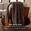 Bedsure 3D Fleece Bubble Blankets for Couch – Cute Pink Throw Blanket for Sofa Bedroom Decor – Luxury Soft Cozy Pink Birthday Gifts for Women Girls, Lightweight, Light Pink, 50″×60″(Brown)