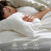 Bedsure PureWoven 100% Washed Cotton Duvet Cover Only, Queen,Frosted Almond | Linen Like Textured, Minimalist Bedding, Plain Soft for All Seasons, Zipper Closure, 8 Corner Ties, Good Housekeeping Seal(01 – Natural White (Duvet Cover Only))