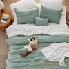 Bedsure Twin XL Comforter Set Natural White – Dorm Room Essentials, Extra Long Twin XL Bedding Set, All Season Down Alternative Comforter with Pillowcase & Sham(02 – Sage Green)