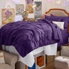 Bedsure Twin XL Comforter Set Pink – Dorm Room Essentials for Girls, Extra Long Twin XL Bedding Set with Sheets, All Season Down Alternative Comforter with Sheets, Pillowcase & Sham(23 – Purple)