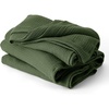 01 - Olive Green