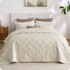 10 - Beige Checker