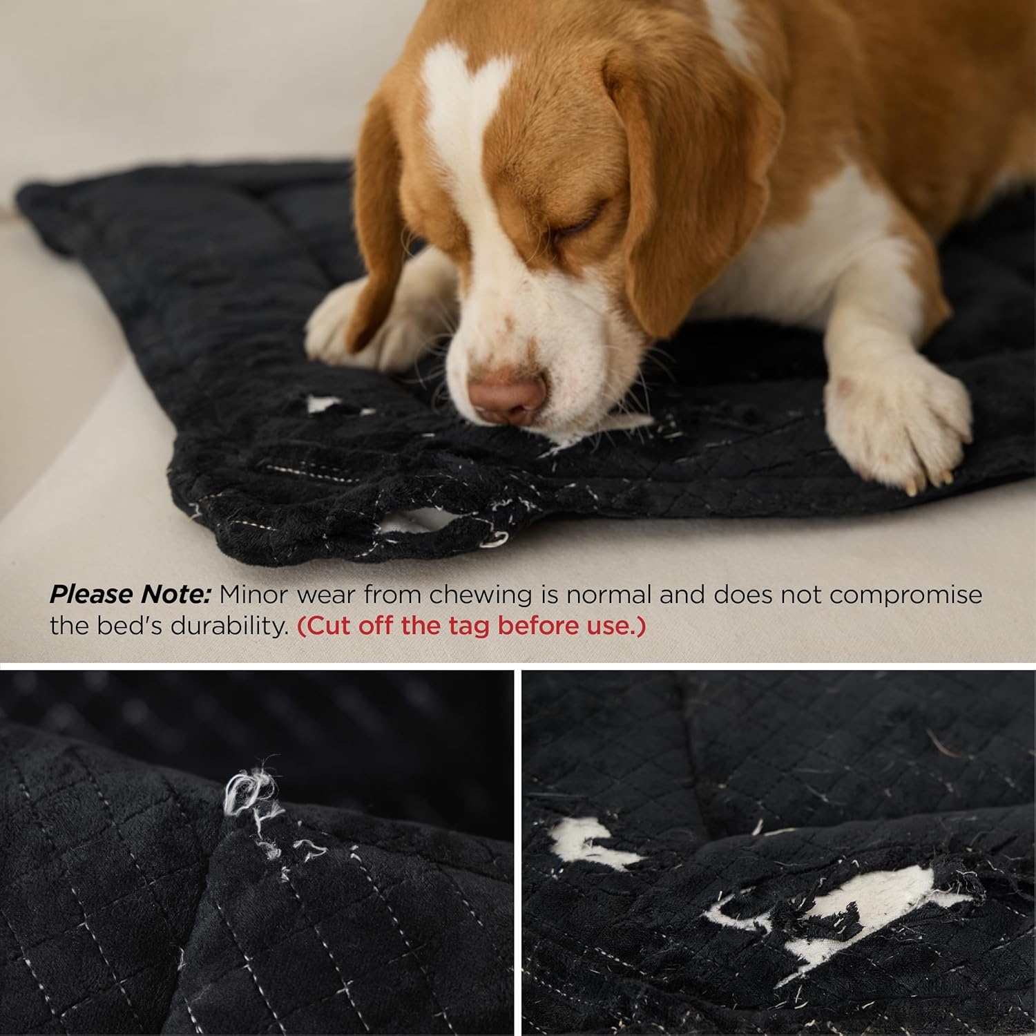 image:imageBedsure Chew Proof XL Dog Bed 41x27 Inch Black Chew Resistant Dog Crate Pad Durable Pet Kennel Mat Reinforced Corners Machine Washable Soft Velvet Surface Easy to CleanXLCrate 41L x 27W x 1Th