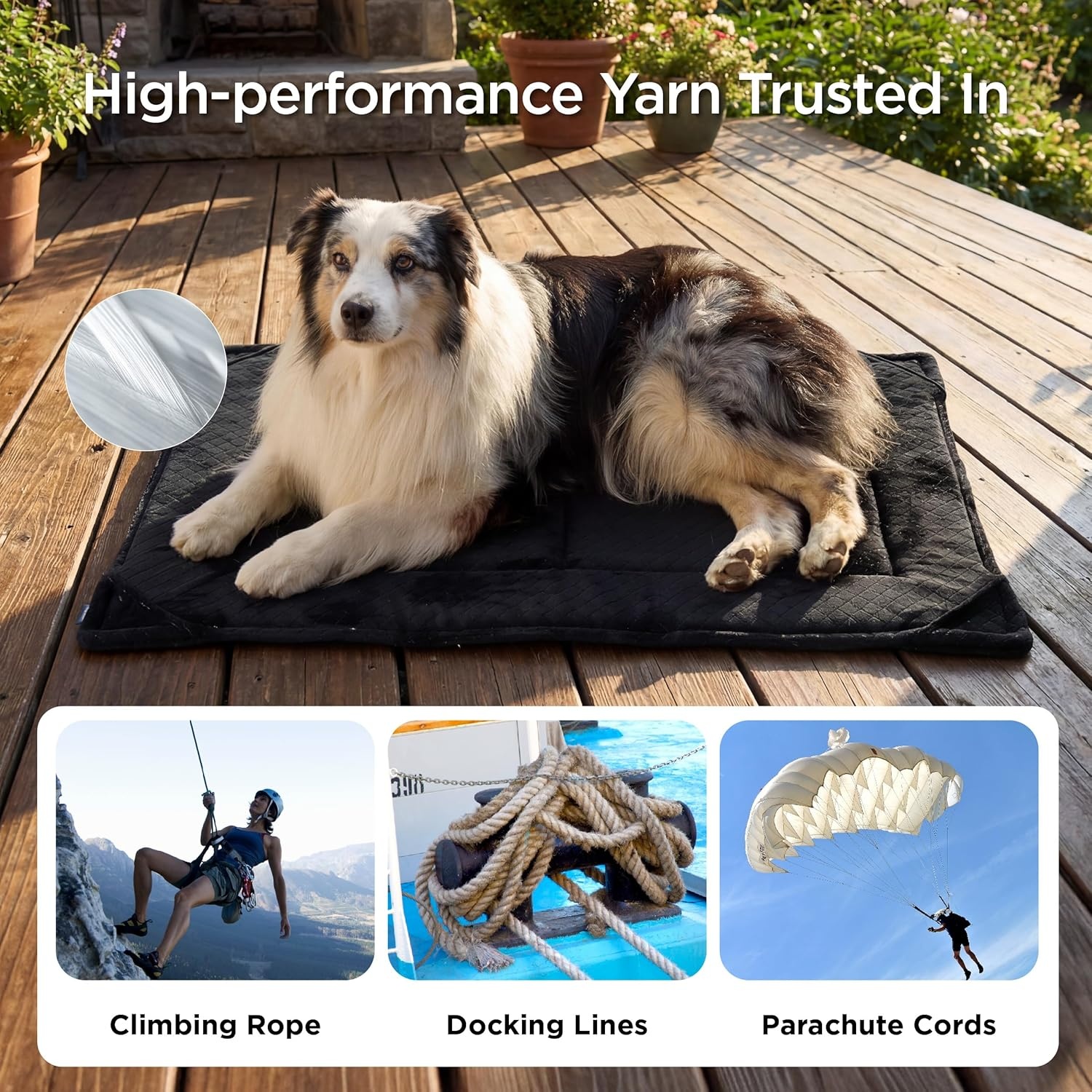 image:imageBedsure Chew Proof XL Dog Bed 41x27 Inch Black Chew Resistant Dog Crate Pad Durable Pet Kennel Mat Reinforced Corners Machine Washable Soft Velvet Surface Easy to CleanXLCrate 41L x 27W x 1Th
