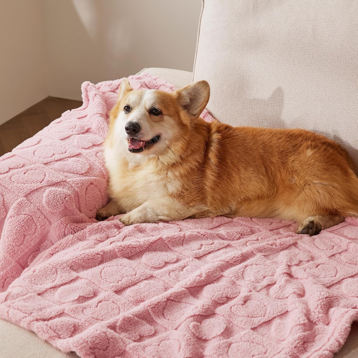 image:imageBedsure Dog Blanket for Small Dogs Puppy and Cats Soft Fleece 25x35 Blue 300GSM Fuzzy Jacquard Doggy Kitten Blanket Washable for Crate Cage Pet Bed Indoor Cats Puppy Essentials Cute Dog GiftPink Heart
