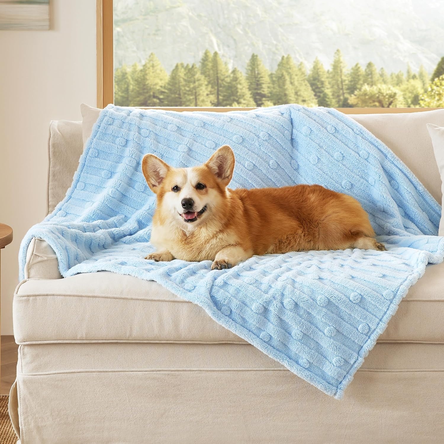 image:imageBedsure Dog Blanket for Small Dogs Puppy and Cats Soft Fleece 25x35 Blue 300GSM Fuzzy Jacquard Doggy Kitten Blanket Washable for Crate Cage Pet Bed Indoor Cats Puppy Essentials Cute Dog GiftBlue Dot