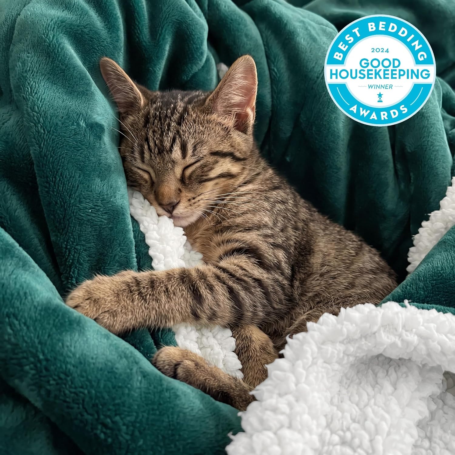image:imageBedsure GentleSoft Sherpa Fleece Throw Blanket for Couch NonHeated Thick amp Warm Cozy Comfort Blanket for Winter Fall Soft Fuzzy Plush Throw Gifts for Women and Men Grey 50x60 Inches04 Forest Green