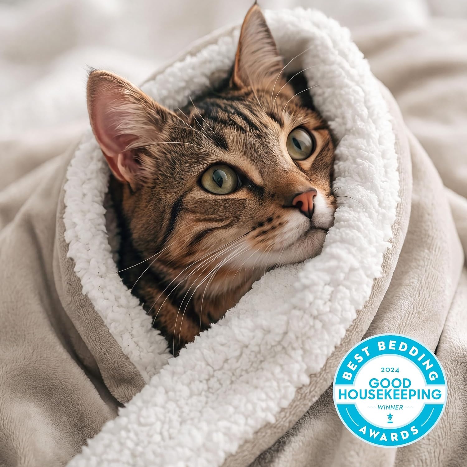 image:imageBedsure GentleSoft Sherpa Fleece Throw Blanket for Couch NonHeated Thick amp Warm Cozy Comfort Blanket for Winter Fall Soft Fuzzy Plush Throw Gifts for Women and Men Grey 50x60 Inches05 Beige